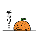 鳥とみかん（個別スタンプ：16）