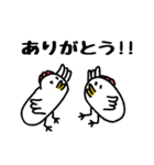 鳥とみかん（個別スタンプ：17）