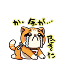 お助け猫にゃすけの会話スタンプ②（個別スタンプ：31）