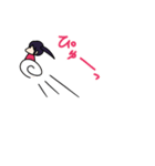 きらぴの日和2（個別スタンプ：15）