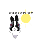 仲良しさんぴょん（個別スタンプ：1）
