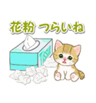 春のちびにゃんズ（個別スタンプ：7）