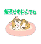 春のちびにゃんズ（個別スタンプ：16）