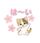 春のちびにゃんズ（個別スタンプ：19）