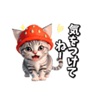 【動く】イチゴとサバトラ子猫♡毎日使える（個別スタンプ：11）