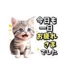 【動く】イチゴとサバトラ子猫♡毎日使える（個別スタンプ：19）