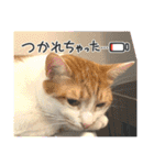 なかよし☻（個別スタンプ：1）