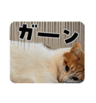 なかよし☻（個別スタンプ：3）