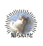 なかよし☻（個別スタンプ：6）