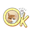 なかよし☻（個別スタンプ：17）