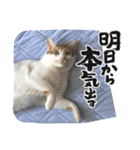 なかよし☻（個別スタンプ：19）