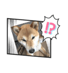 なかよし☻（個別スタンプ：23）