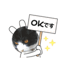 なかよし☻（個別スタンプ：25）