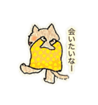 茶ねこ(使いやすいあいさつ/連絡etc.)（個別スタンプ：9）