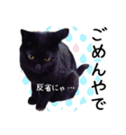 “ゆるっと日常”マチャん家のにゃんこ編（個別スタンプ：6）