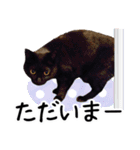 “ゆるっと日常”マチャん家のにゃんこ編（個別スタンプ：15）