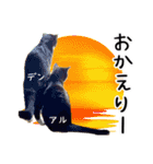 “ゆるっと日常”マチャん家のにゃんこ編（個別スタンプ：16）