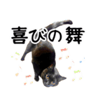 “ゆるっと日常”マチャん家のにゃんこ編（個別スタンプ：27）