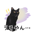 “ゆるっと日常”マチャん家のにゃんこ編（個別スタンプ：30）