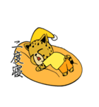 チーターのビーチレース（個別スタンプ：6）