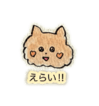 茶ねこ②(返事/応援/ほめ/甘え/喜怒哀楽)（個別スタンプ：10）