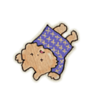 茶ねこ②(返事/応援/ほめ/甘え/喜怒哀楽)（個別スタンプ：27）