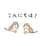 すずめのシンプル日常会話（個別スタンプ：1）