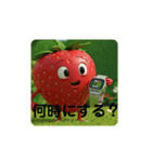 苺君第3弾（個別スタンプ：10）