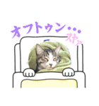 Umi＆Riku（個別スタンプ：14）