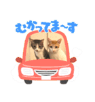 Umi＆Riku（個別スタンプ：37）