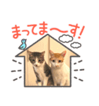 Umi＆Riku（個別スタンプ：40）