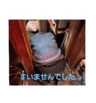 フーターズ横浜 2（個別スタンプ：21）