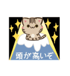 動く！毎日五月病なねこたち 猫の日2（個別スタンプ：15）