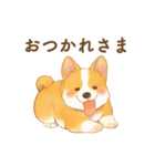 飼い主大好きコーギースタンプ（個別スタンプ：3）