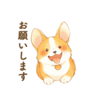 飼い主大好きコーギースタンプ（個別スタンプ：5）