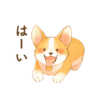飼い主大好きコーギースタンプ（個別スタンプ：7）
