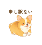 飼い主大好きコーギースタンプ（個別スタンプ：9）