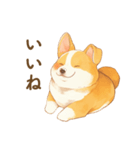 飼い主大好きコーギースタンプ（個別スタンプ：10）
