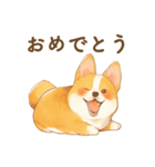 飼い主大好きコーギースタンプ（個別スタンプ：11）