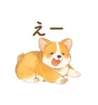 飼い主大好きコーギースタンプ（個別スタンプ：17）