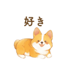 飼い主大好きコーギースタンプ（個別スタンプ：19）