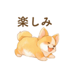 飼い主大好きコーギースタンプ（個別スタンプ：23）
