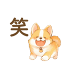 飼い主大好きコーギースタンプ（個別スタンプ：24）
