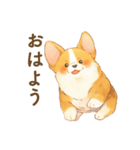 飼い主大好きコーギースタンプ（個別スタンプ：25）