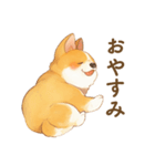 飼い主大好きコーギースタンプ（個別スタンプ：26）