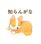 飼い主大好きコーギースタンプ（個別スタンプ：29）