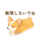 飼い主大好きコーギースタンプ（個別スタンプ：31）