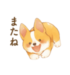 飼い主大好きコーギースタンプ（個別スタンプ：32）