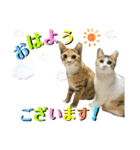 フクとツゥの毎日スタンプ（個別スタンプ：1）