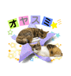 フクとツゥの毎日スタンプ（個別スタンプ：4）